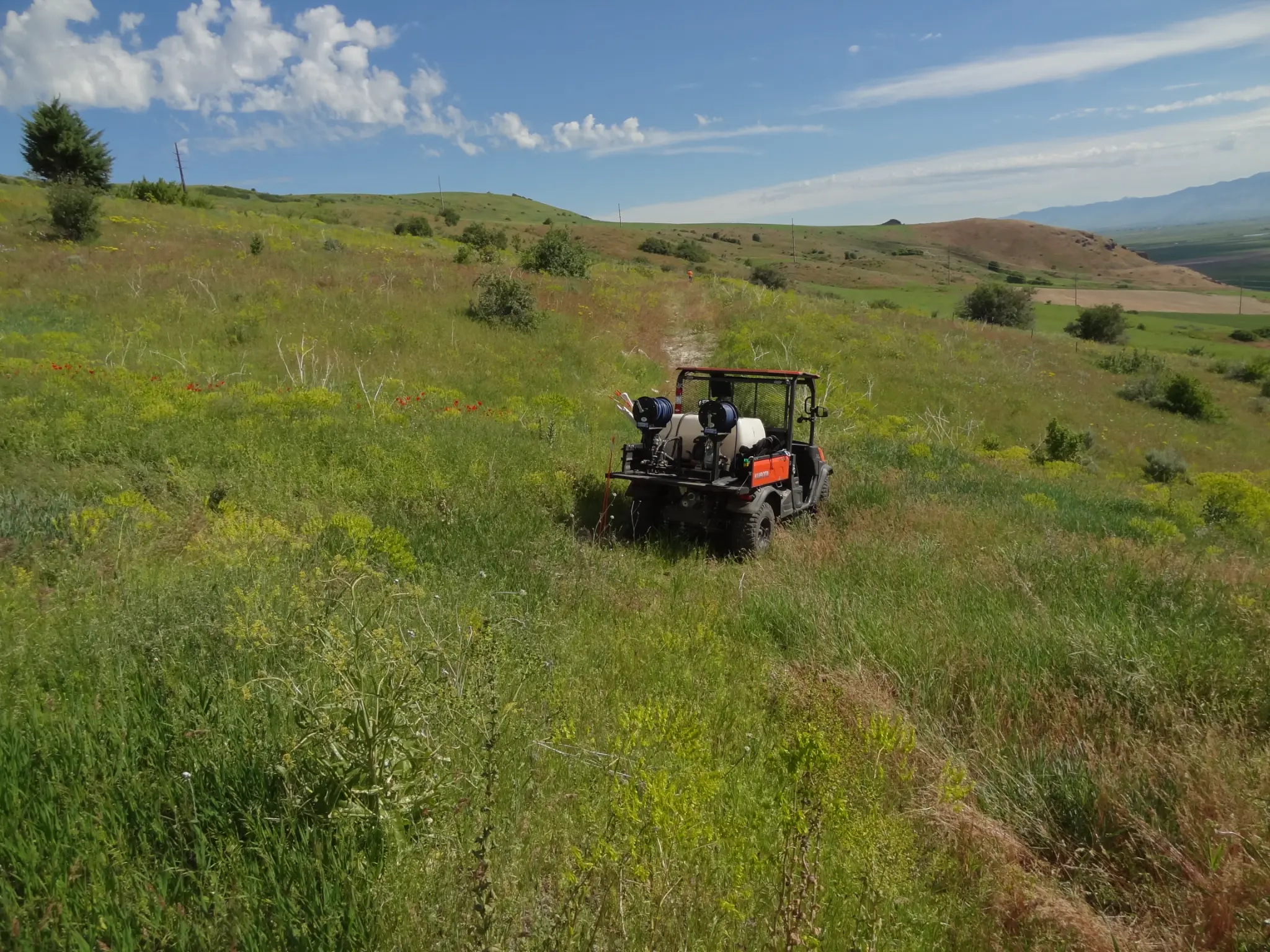 UTV sprayer treating a weed-infested hillside