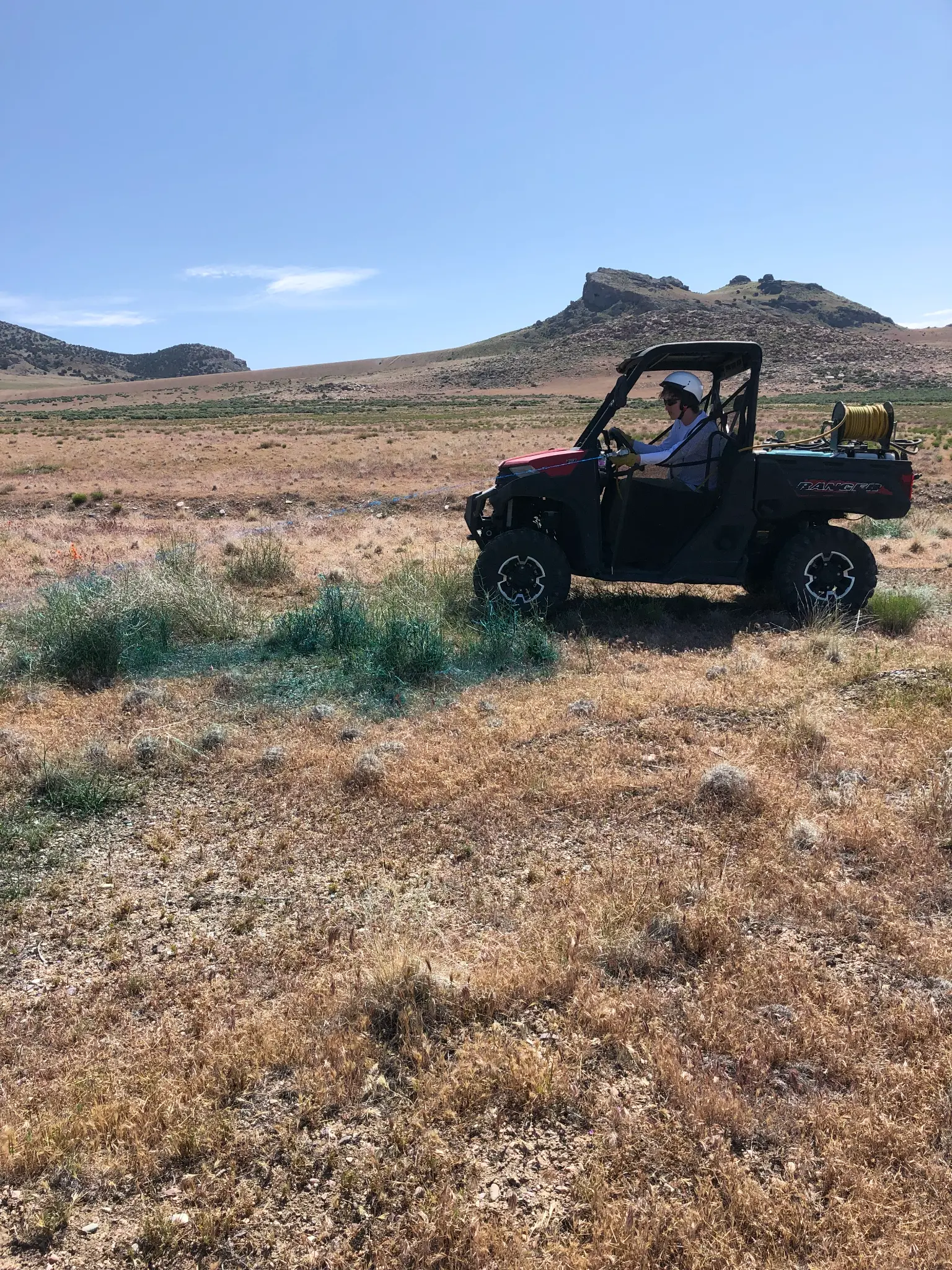 Field crew conducting herbicide treatment in the desert