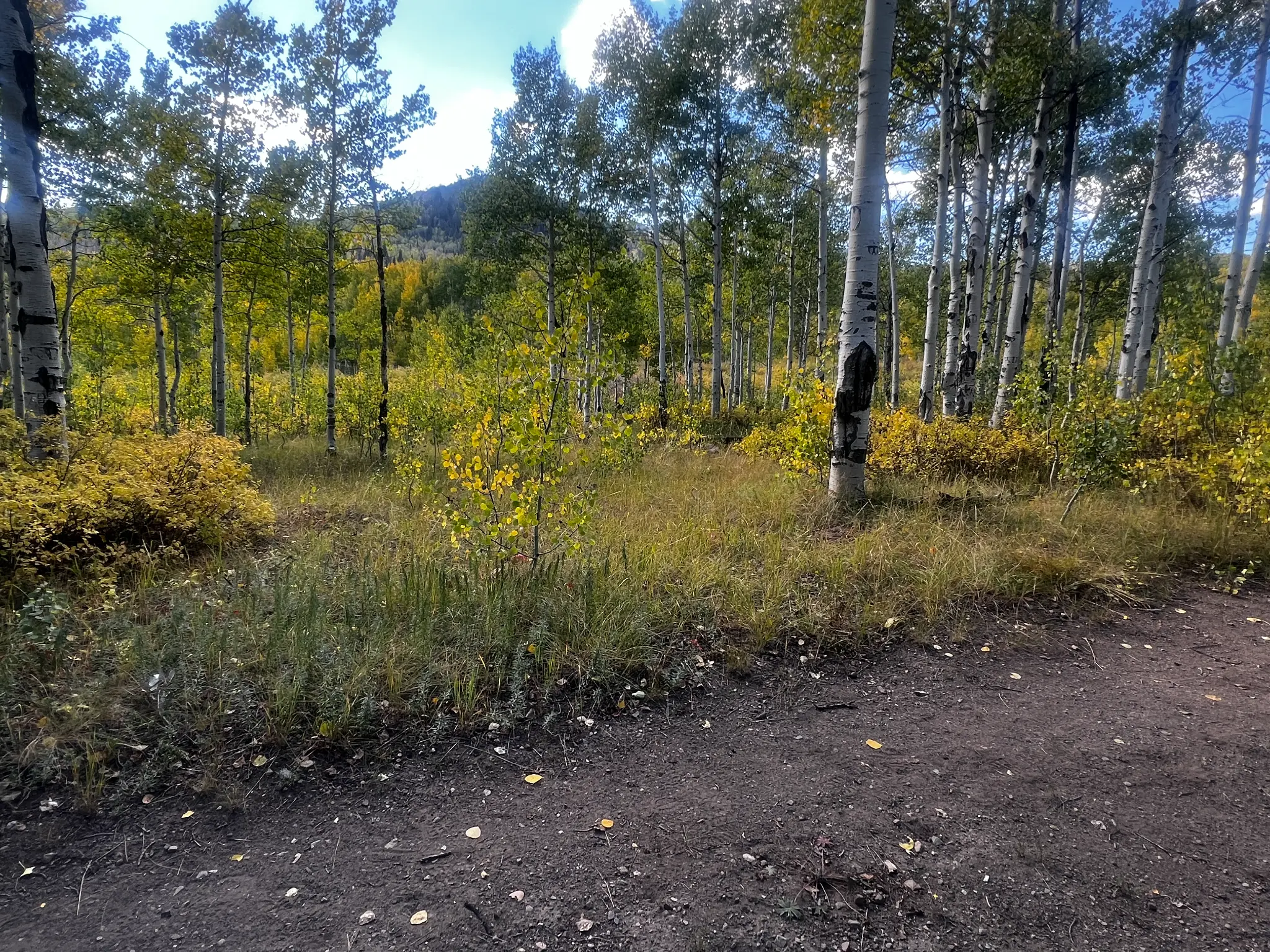 The Wasatch Plateau and canyon lands of central Utah